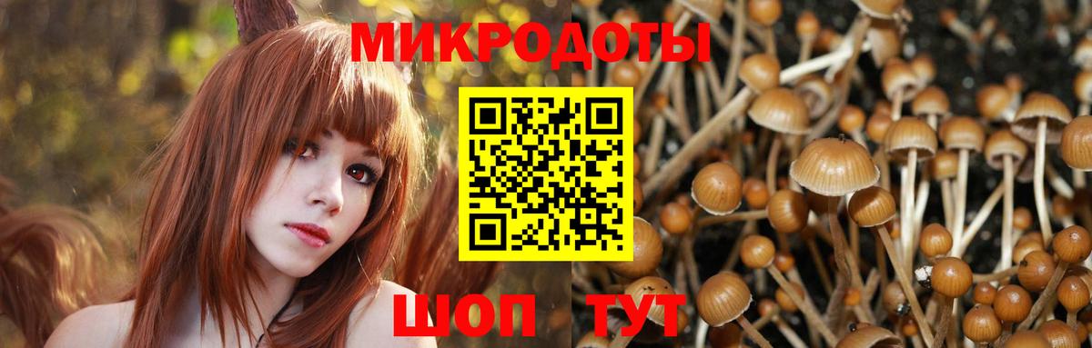 Псилоцибиновые грибы Psilocybine cubensis  Вход с VPN  Псилоцибиновые грибы Cubensis  Нягань 